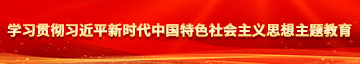 啊……嗯操我视频学习贯彻习近平新时代中国特色社会主义思想主题教育